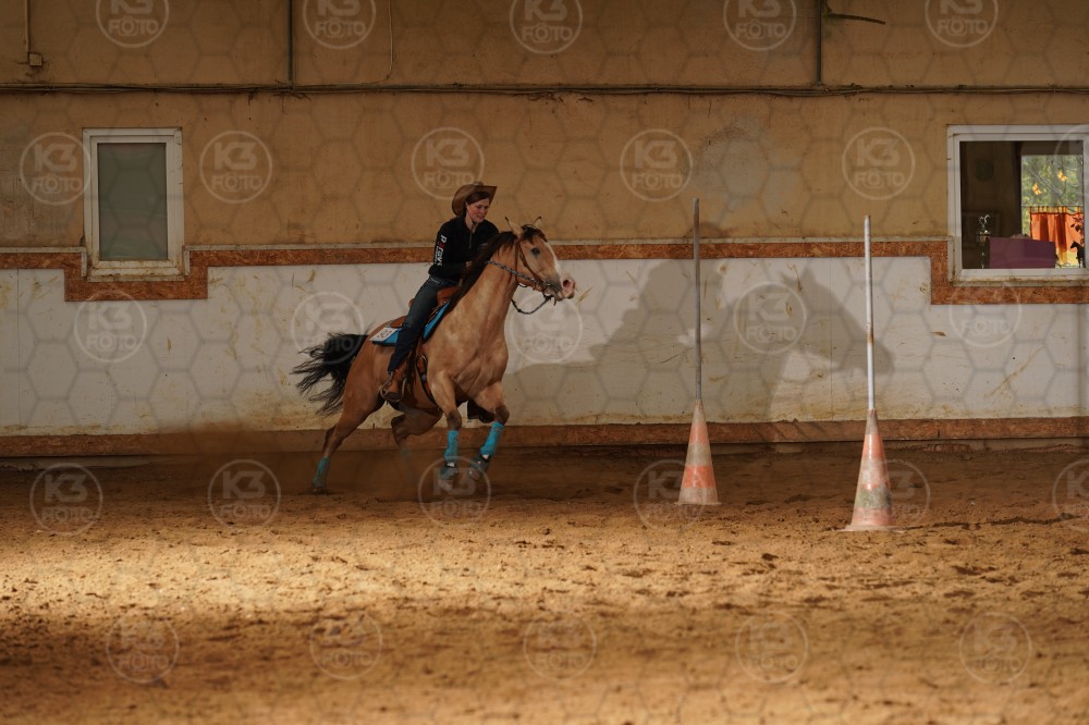 s_A9_01861.jpg